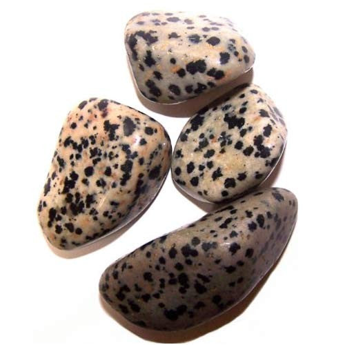 Earthstore® Dalmatian Jasper - Tumblestone (LARGE 23-29mm)