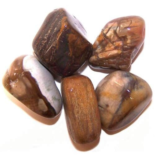 Earthstore® Petrified Wood - Tumblestone (Fossilised wood LARGE)