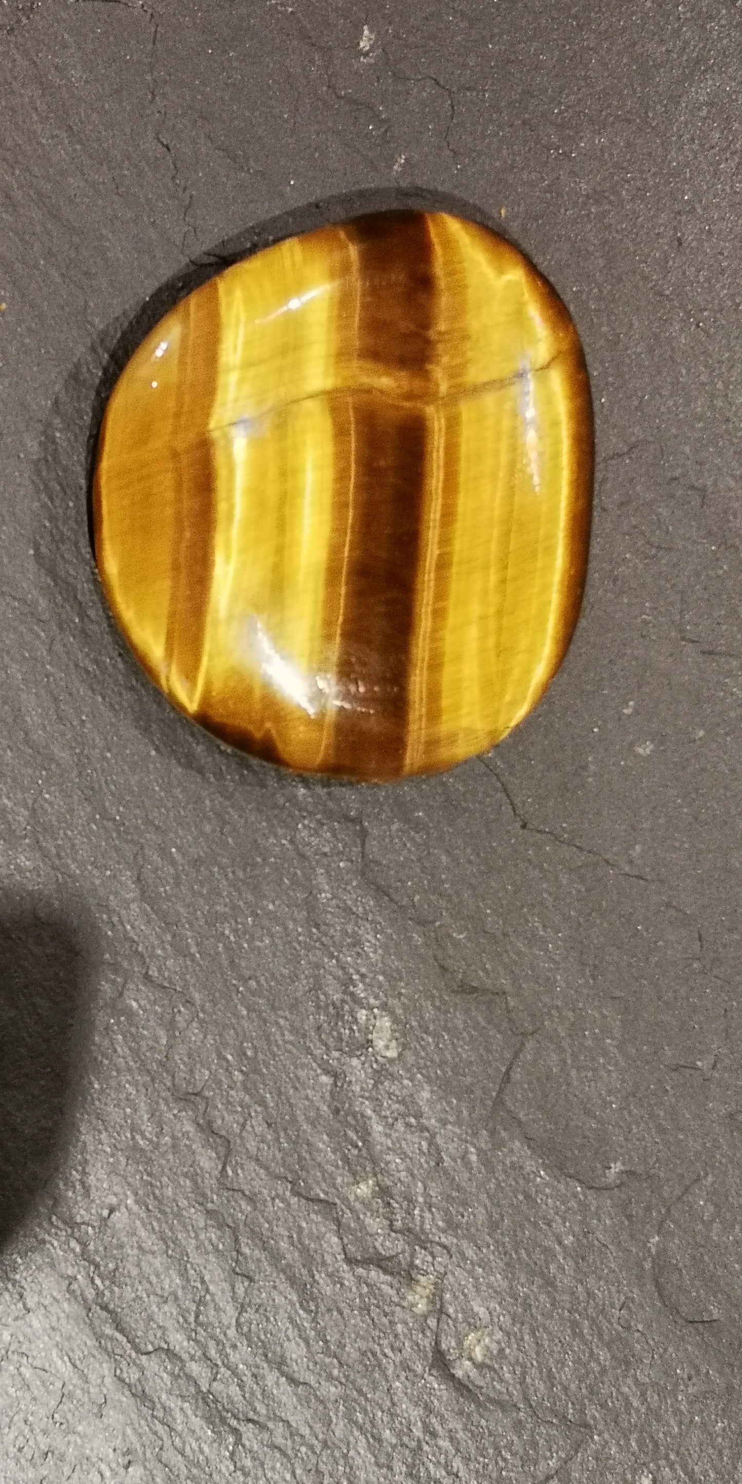 Earthstore® Tiger Eye - Palm Stone (very high grade)
