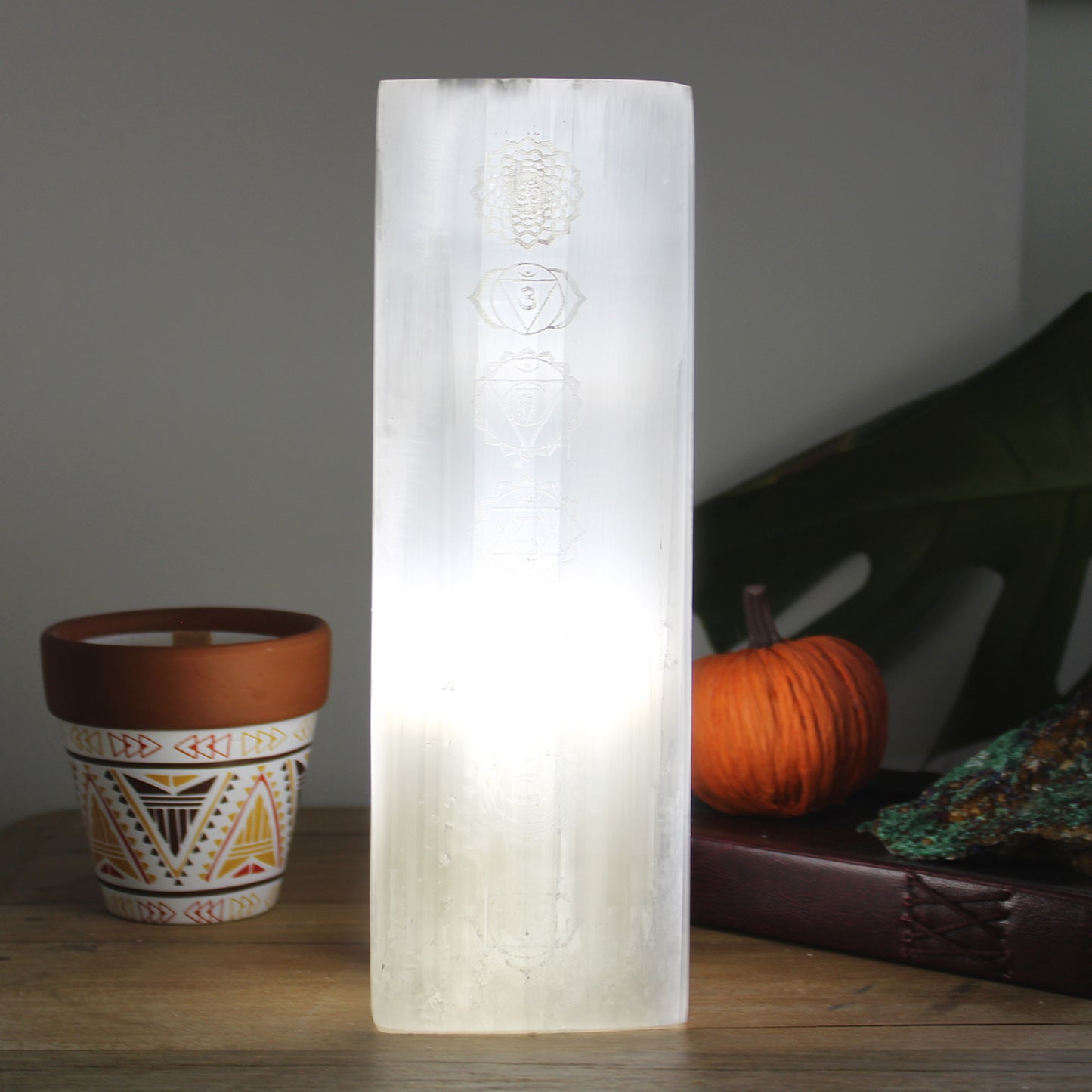 Earthstore® 25cm Selenite CHAKRA Cool white LED bulb Lamp (apx 10")