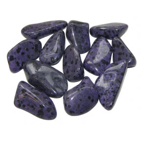 Earthstore® Purple Dalmation Jasper - Tumblestone