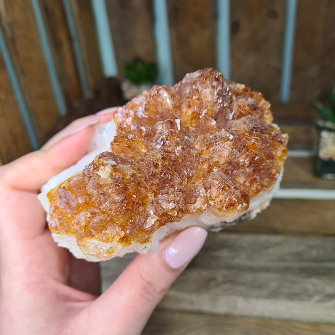 Earthstore® Citrine Natural Druzy Display 695g #5