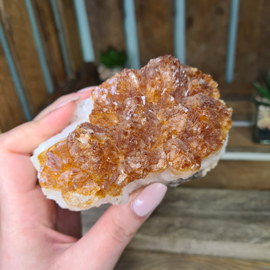 Earthstore® Citrine Natural Druzy Display 695g #5