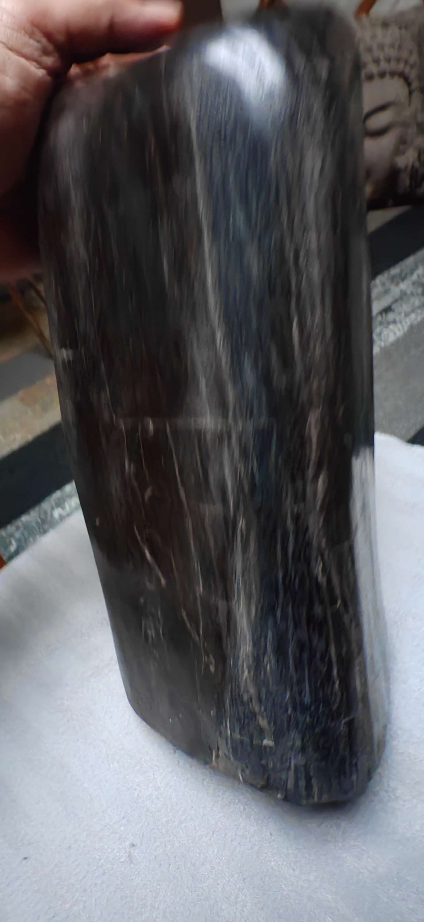 Earthstore® Petrified Wood, 5.7kg an absolute BEAST. Dark and Brooding.