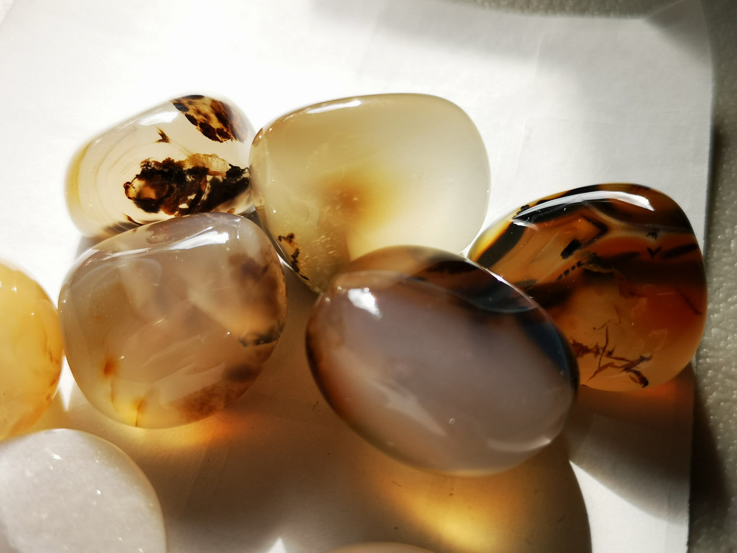 Earthstore® Agate, Dendritic - Tumblestone