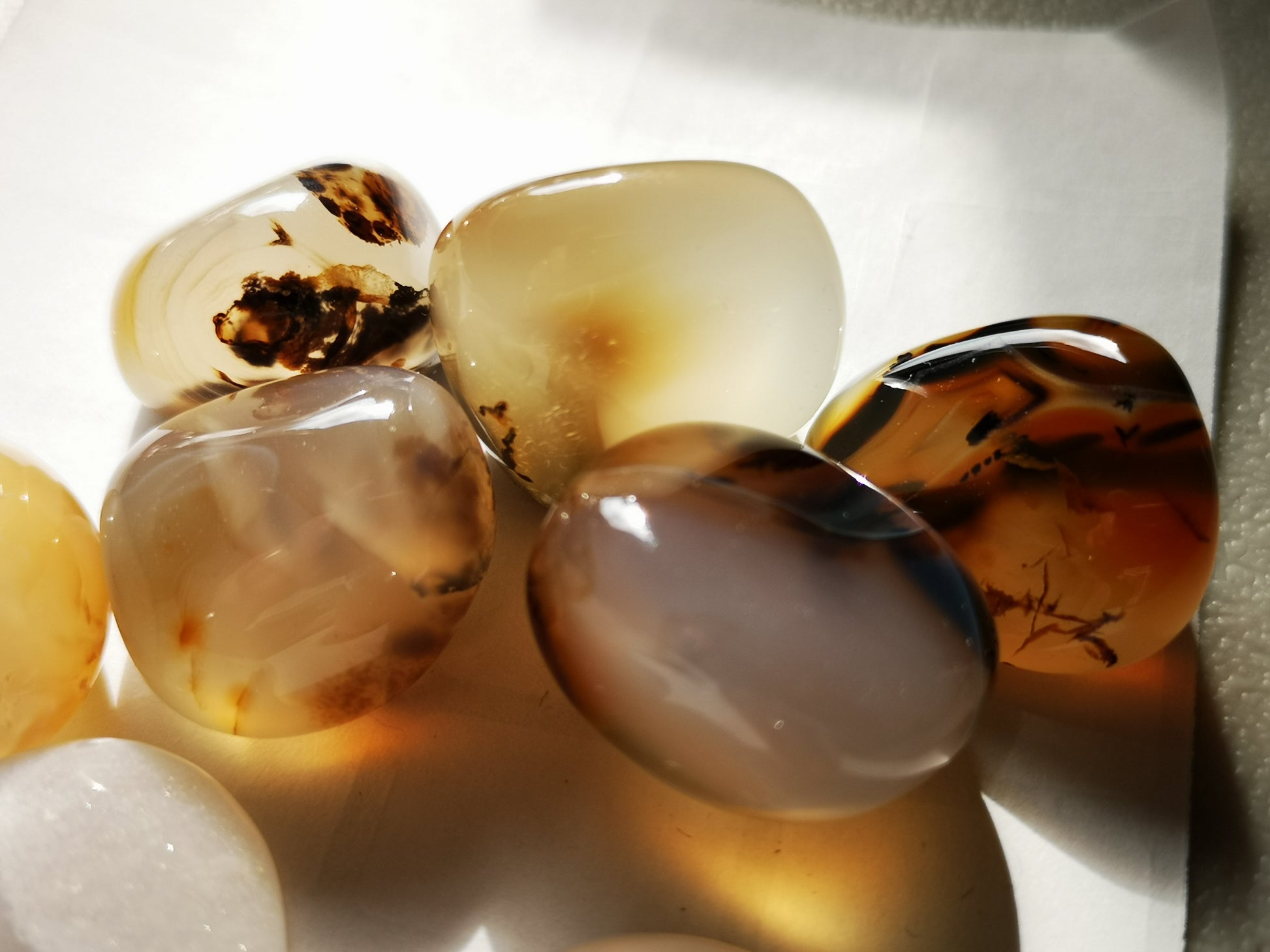 Earthstore® Agate, Dendritic - Tumblestone