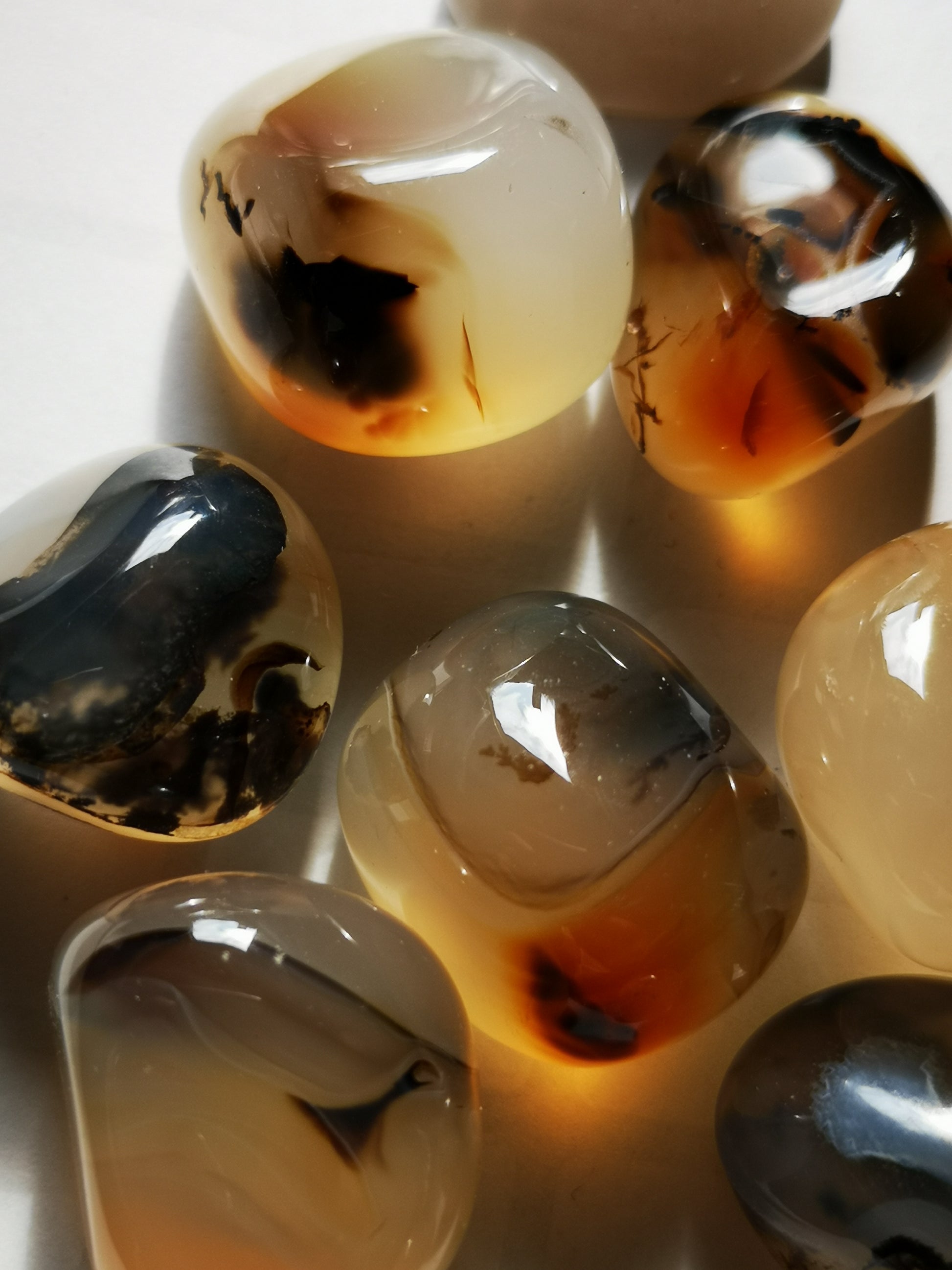 Earthstore® Agate, Dendritic - Tumblestone