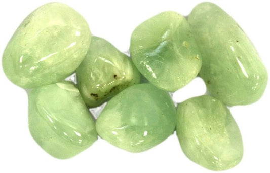 Earthstore® Prehnite - Tumblestone (Large)