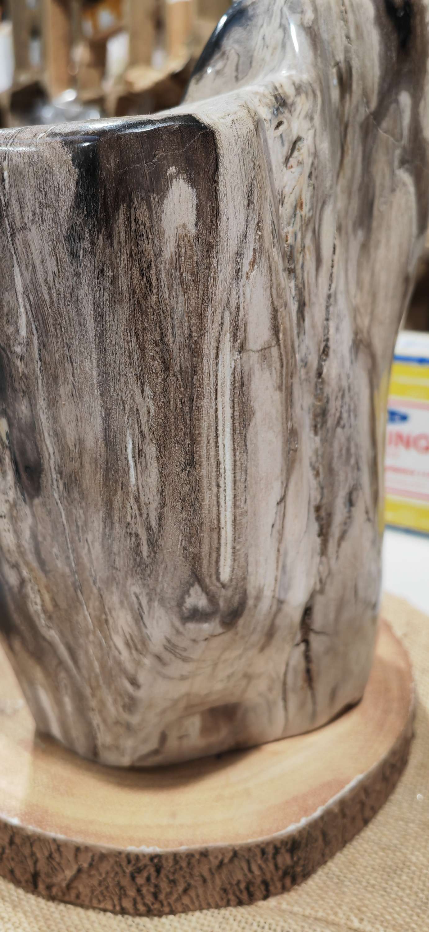 Earthstore® Petrified Wood, 5.9kg - 100% PERFECTION - UNUSUAL MARKINGS