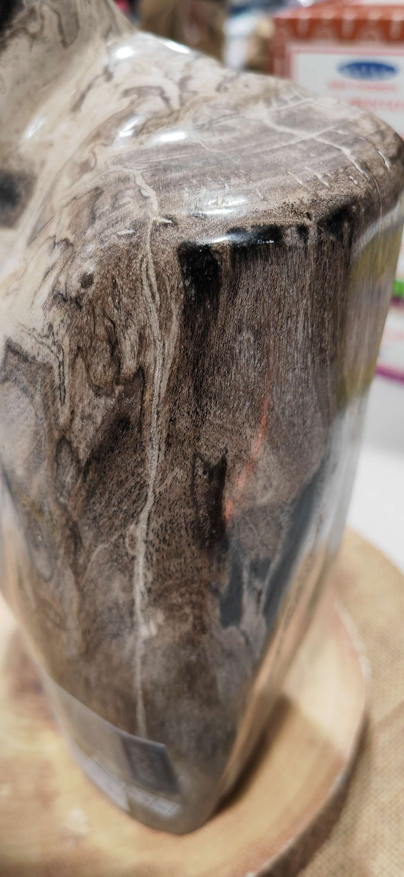 Earthstore® Petrified Wood, 5.9kg - 100% PERFECTION - UNUSUAL MARKINGS