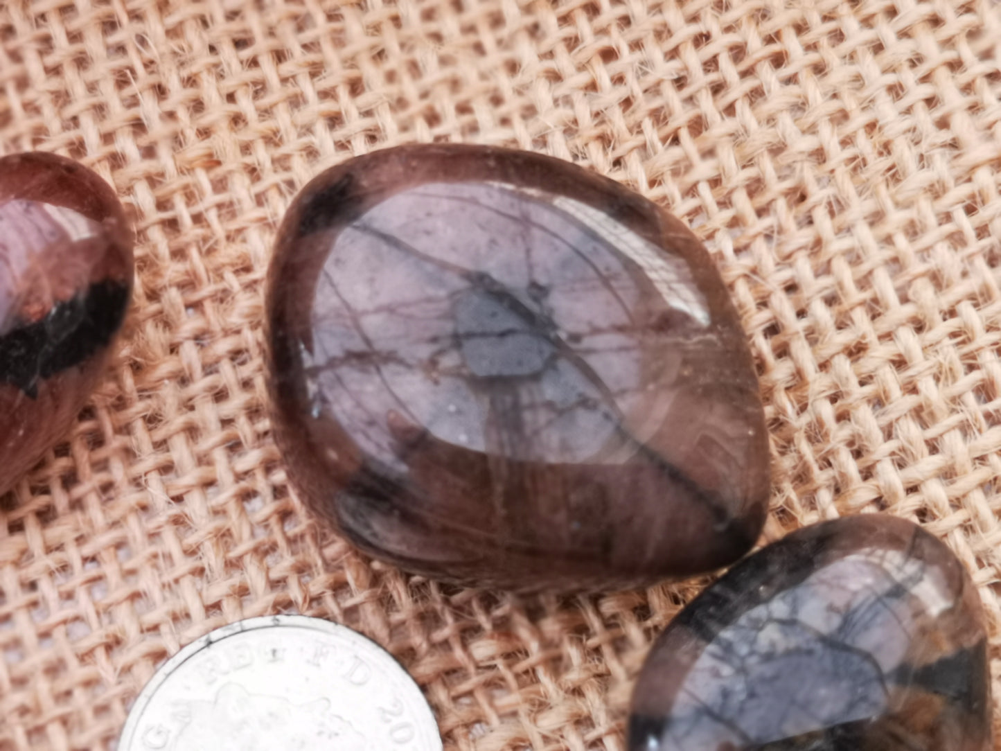 Earthstore® Chiastolite - Tumblestone (Cross Stone) - (Large) (ARIZONA)