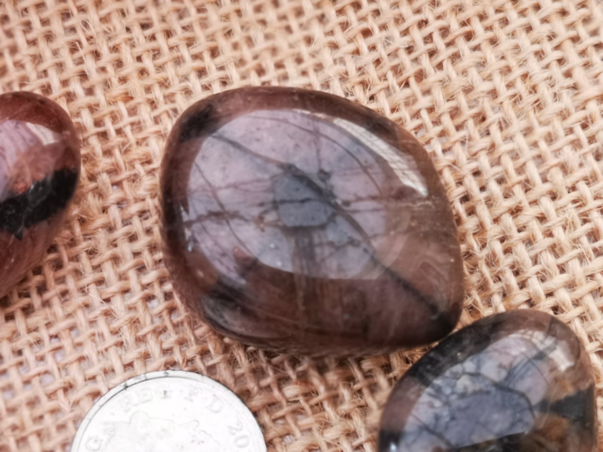 Earthstore® Chiastolite - Tumblestone (Cross Stone) - (Large) (ARIZONA)
