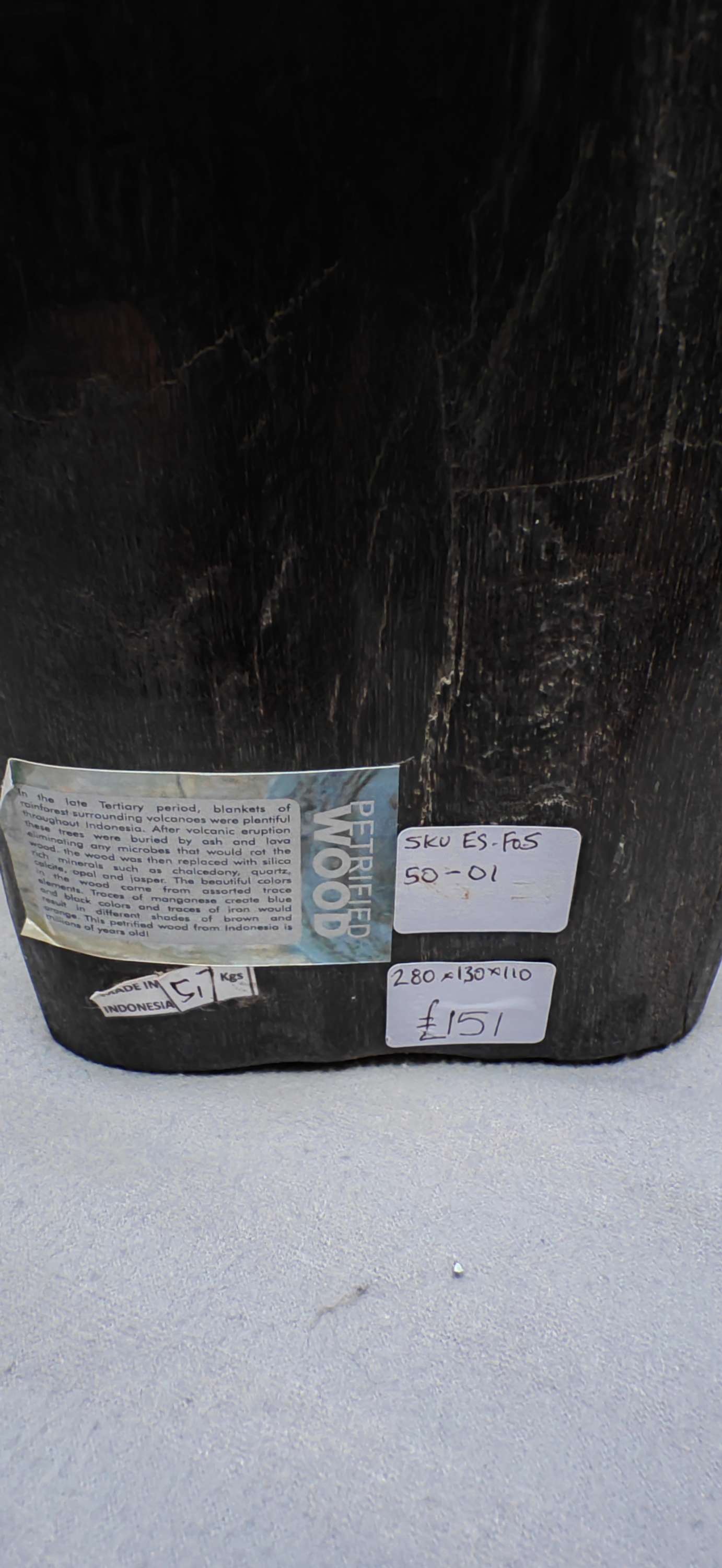 Earthstore® Petrified Wood, 5.7kg an absolute BEAST. Dark and Brooding.