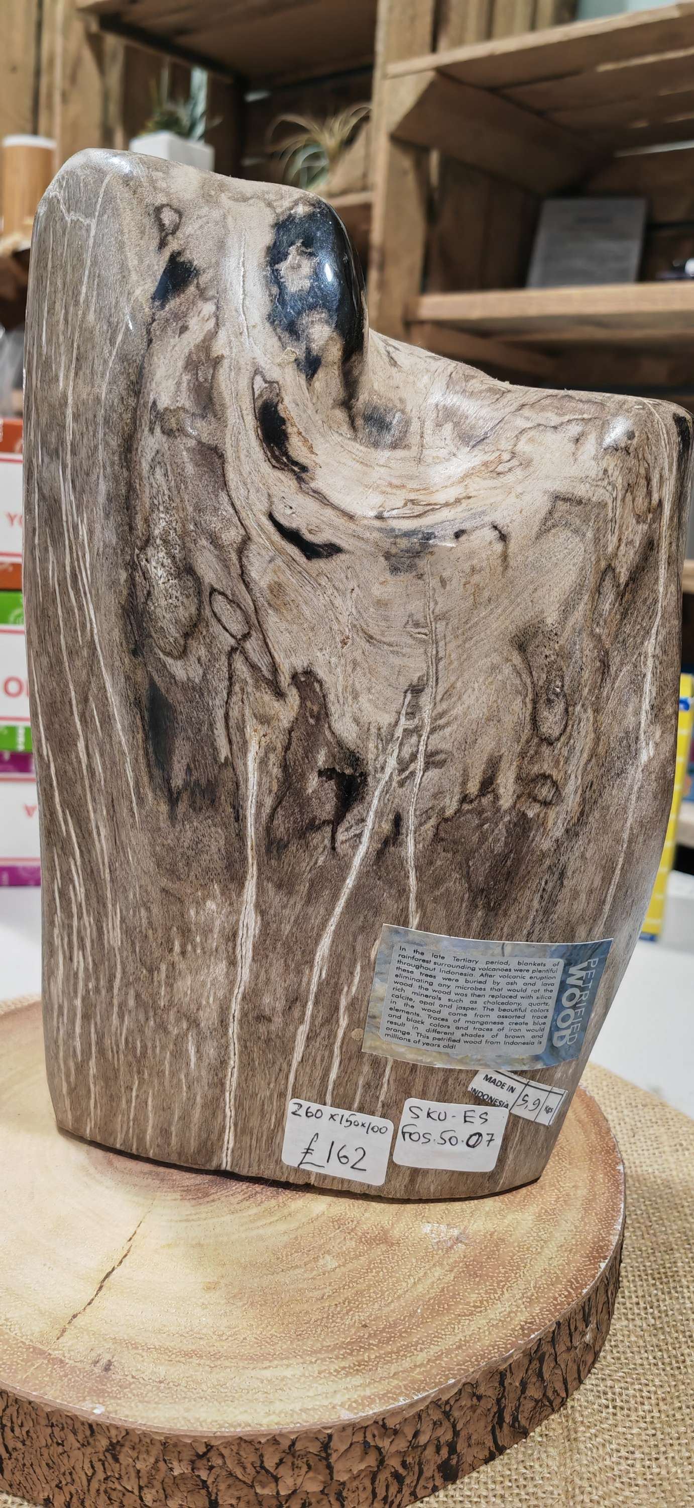 Earthstore® Petrified Wood, 5.9kg - 100% PERFECTION - UNUSUAL MARKINGS