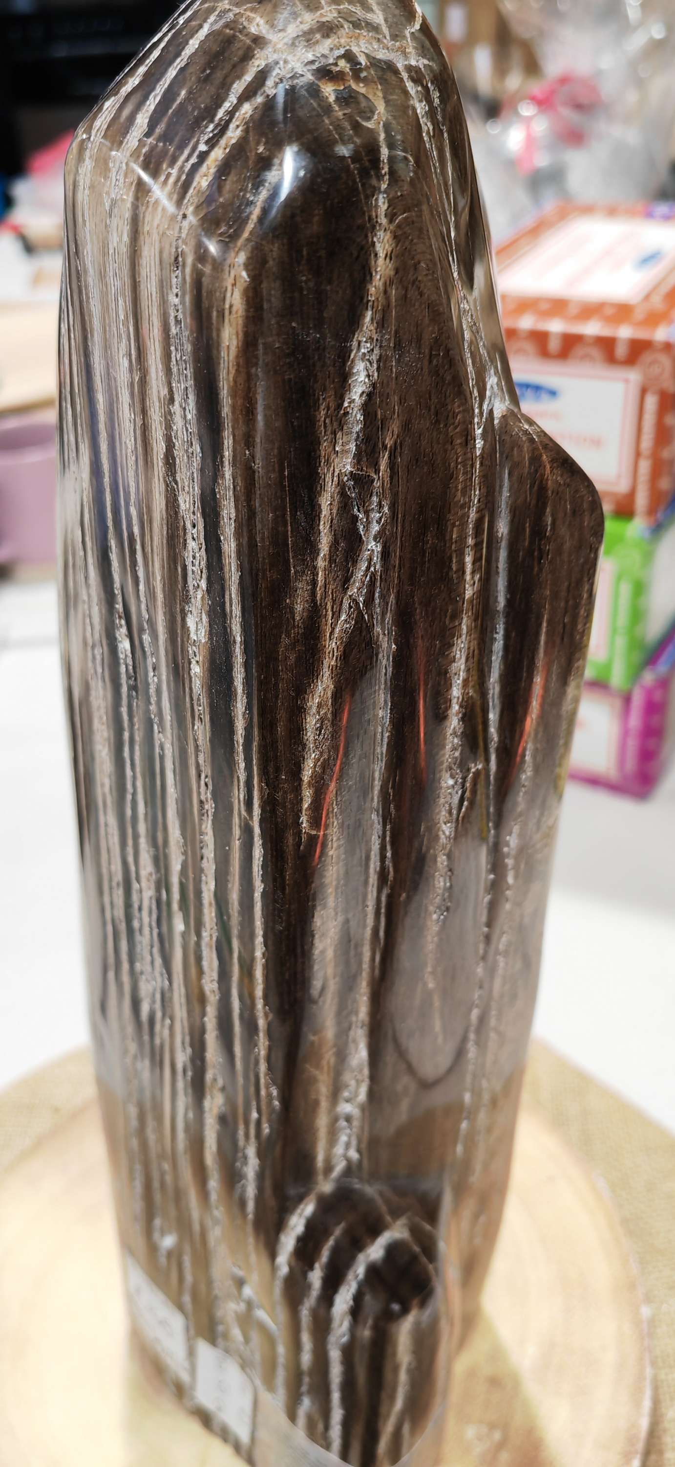 Earthstore® Petrified Wood, 4.2kg - TALL with natural symetrical markings