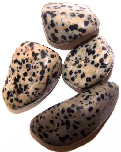 Earthstore® Dalmatian Jasper - Tumblestone (LARGE 23-29mm)