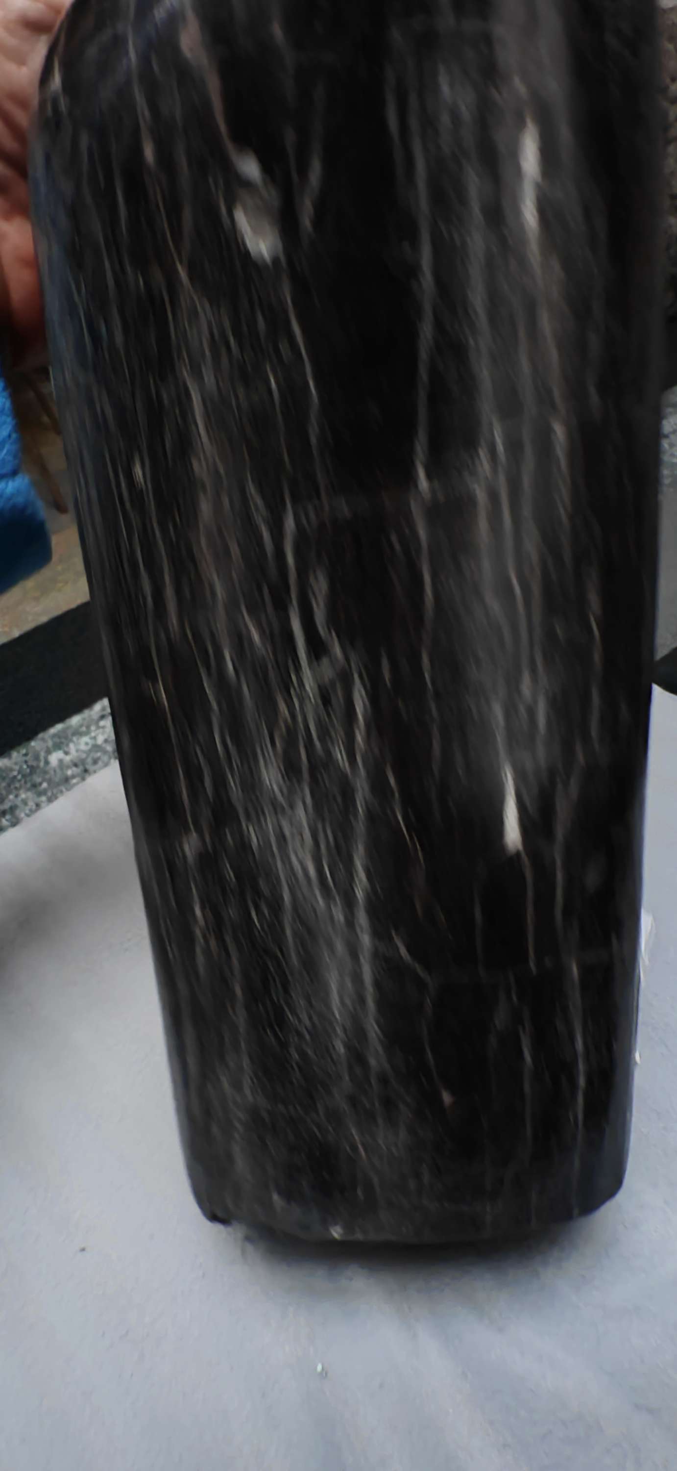 Earthstore® Petrified Wood, 5.7kg an absolute BEAST. Dark and Brooding.