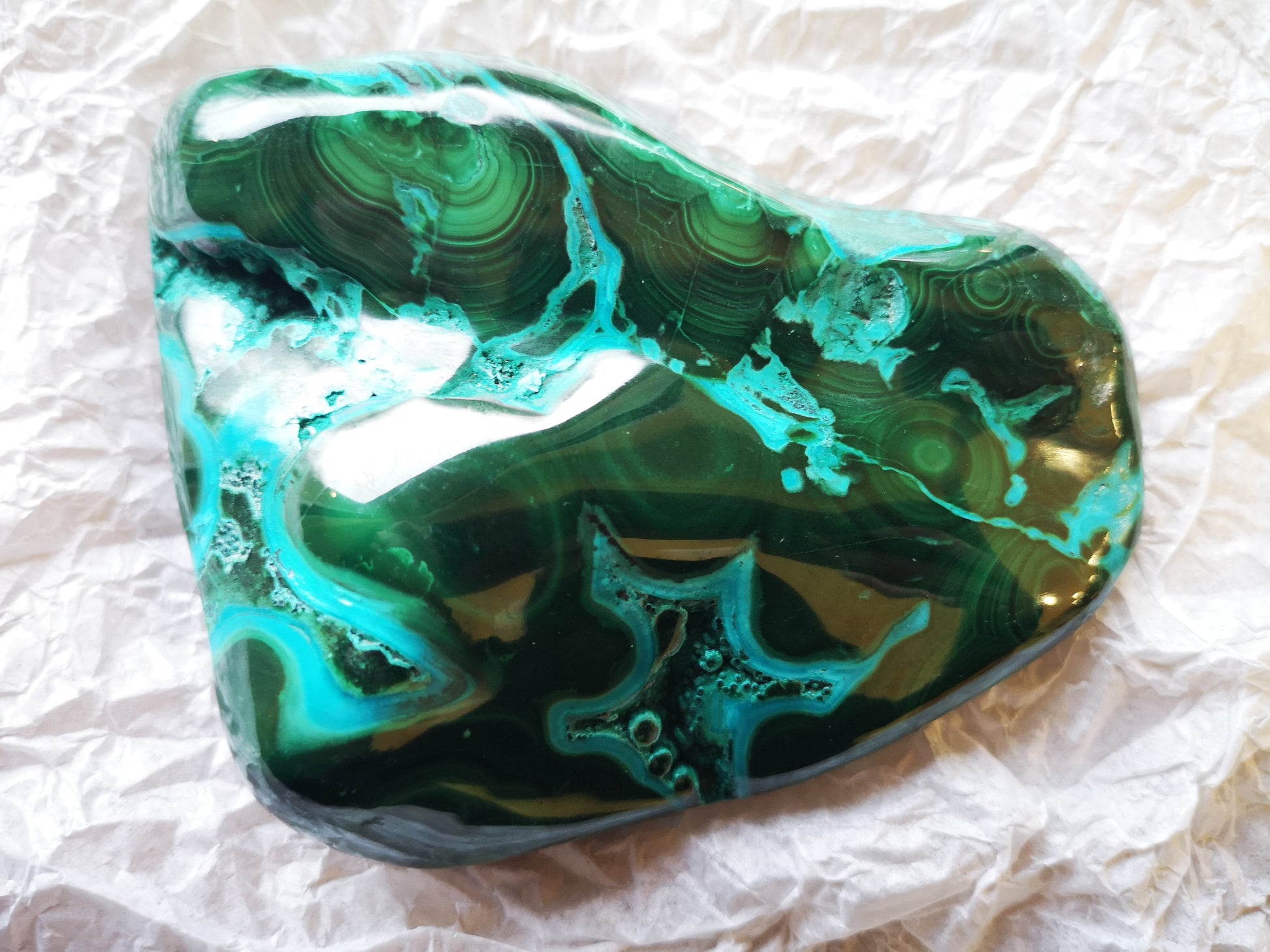Earthstore® Large Malachite & Chrysocolla Freeform display (470g 112x85x38mm