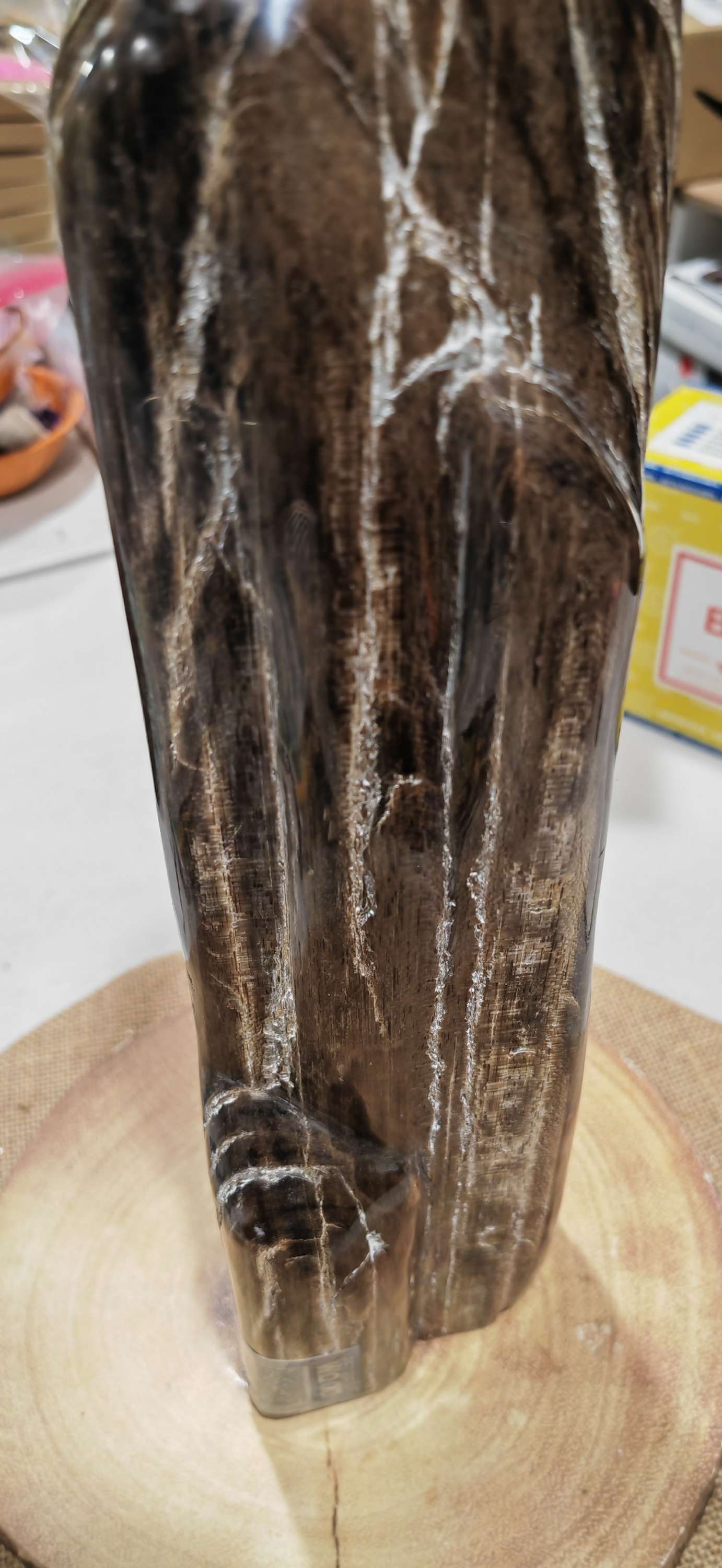 Earthstore® Petrified Wood, 4.2kg - TALL with natural symetrical markings