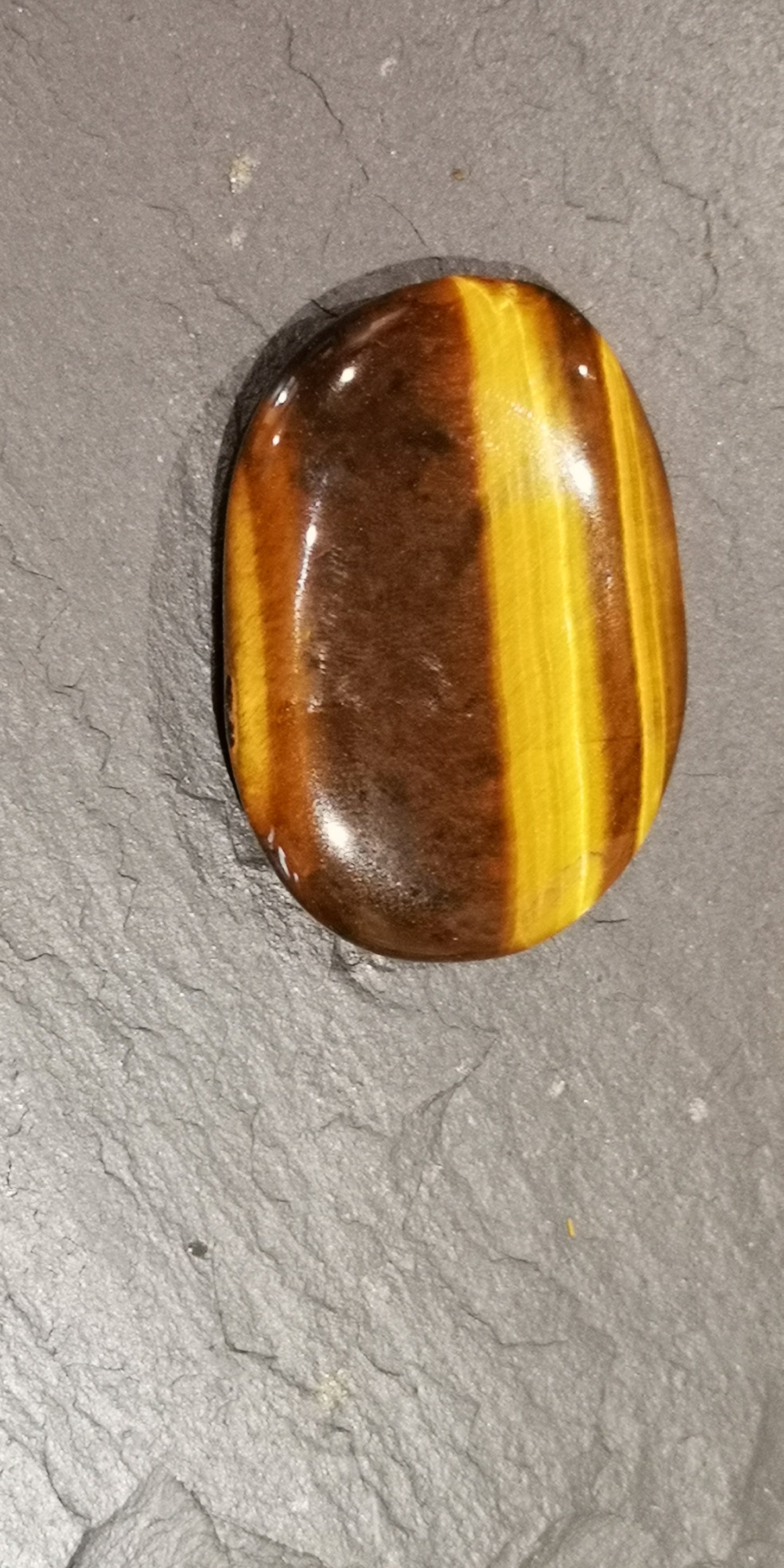 Earthstore® Tiger Eye - Palm Stone (very high grade)