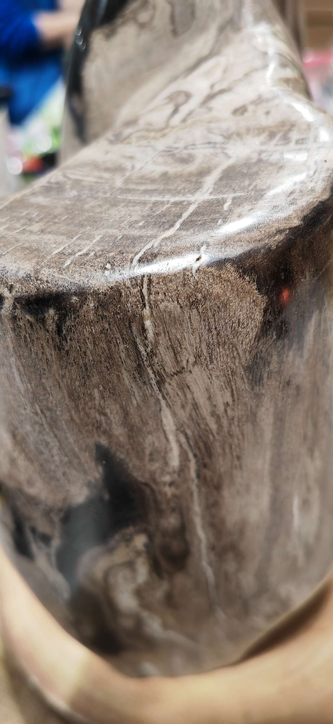 Earthstore® Petrified Wood, 5.9kg - 100% PERFECTION - UNUSUAL MARKINGS