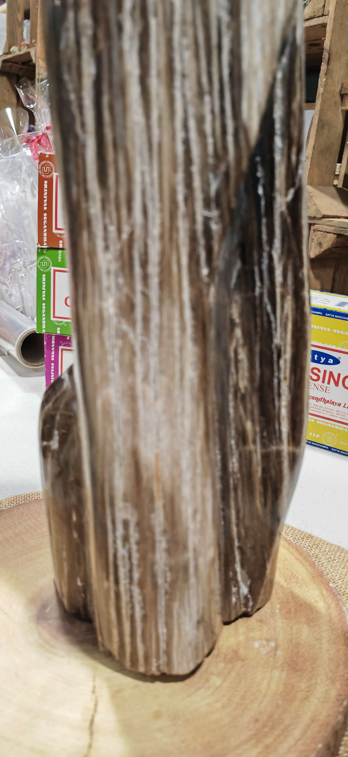 Earthstore® Petrified Wood, 4.2kg - TALL with natural symetrical markings