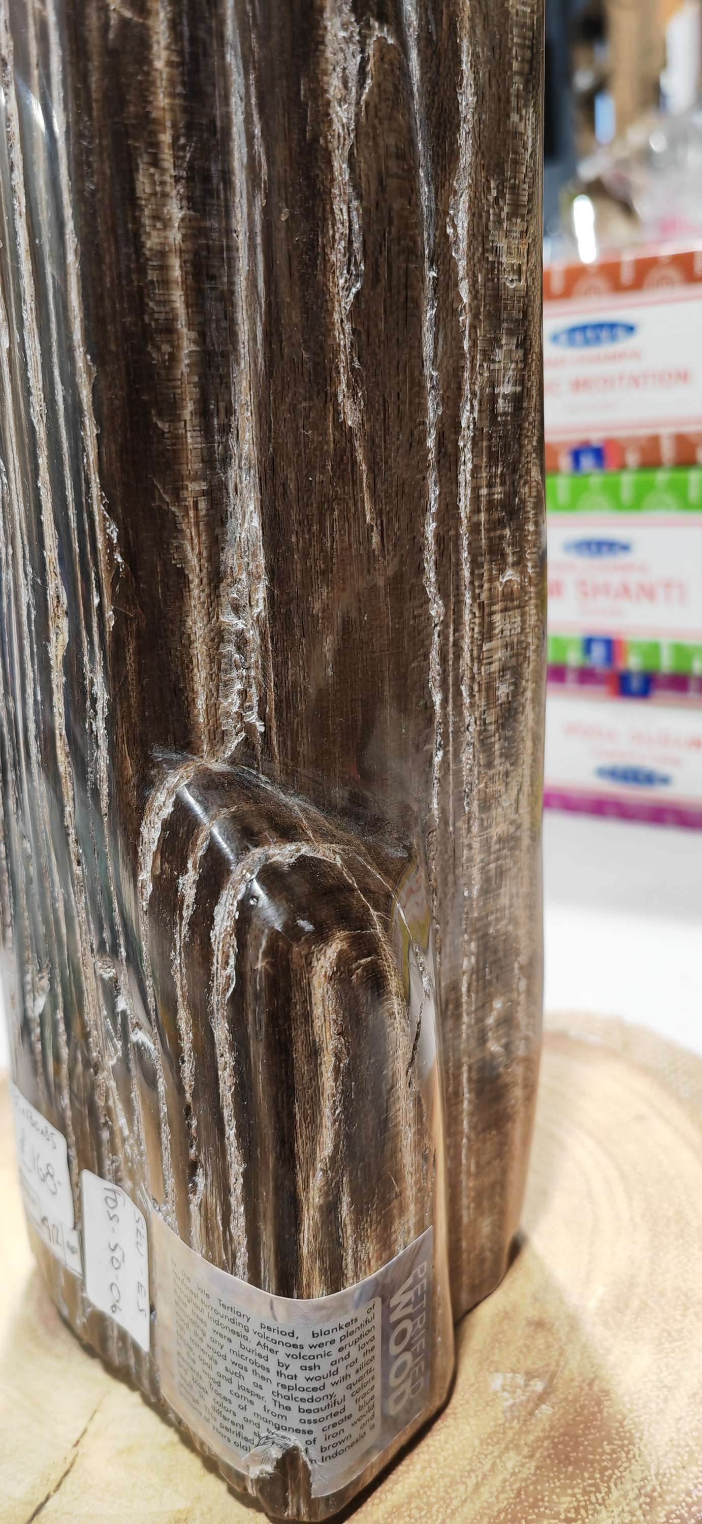 Earthstore® Petrified Wood, 4.2kg - TALL with natural symetrical markings