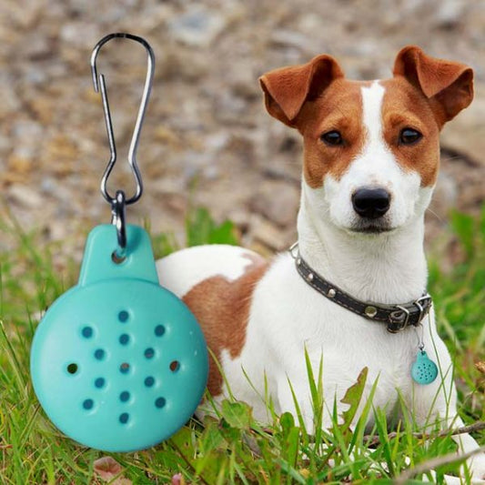 Earthstore® ESSENTIAL OIL PET DIFFUSING COLLAR PENDANT (for Dogs & Cats) Crystal