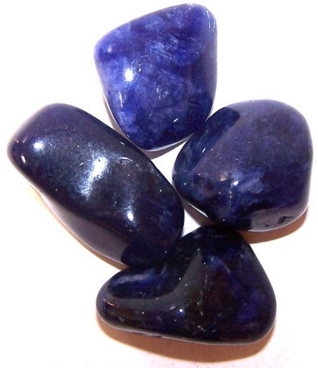 Earthstore® Sodalite - Tumblestone - (Large)