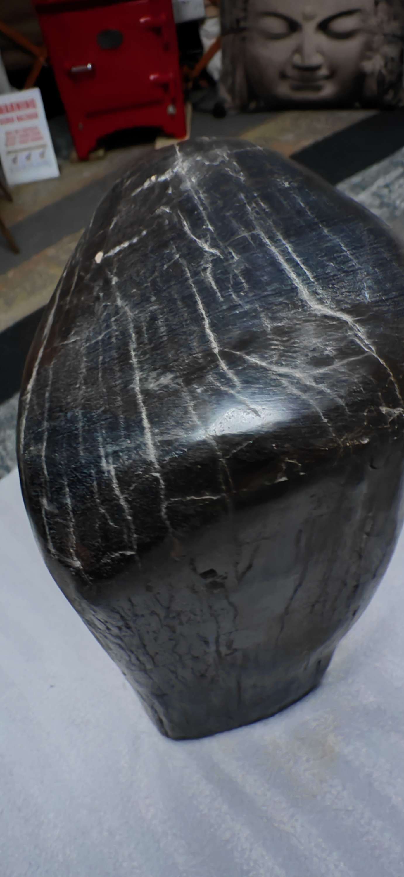 Earthstore® Petrified Wood, 5.7kg an absolute BEAST. Dark and Brooding.