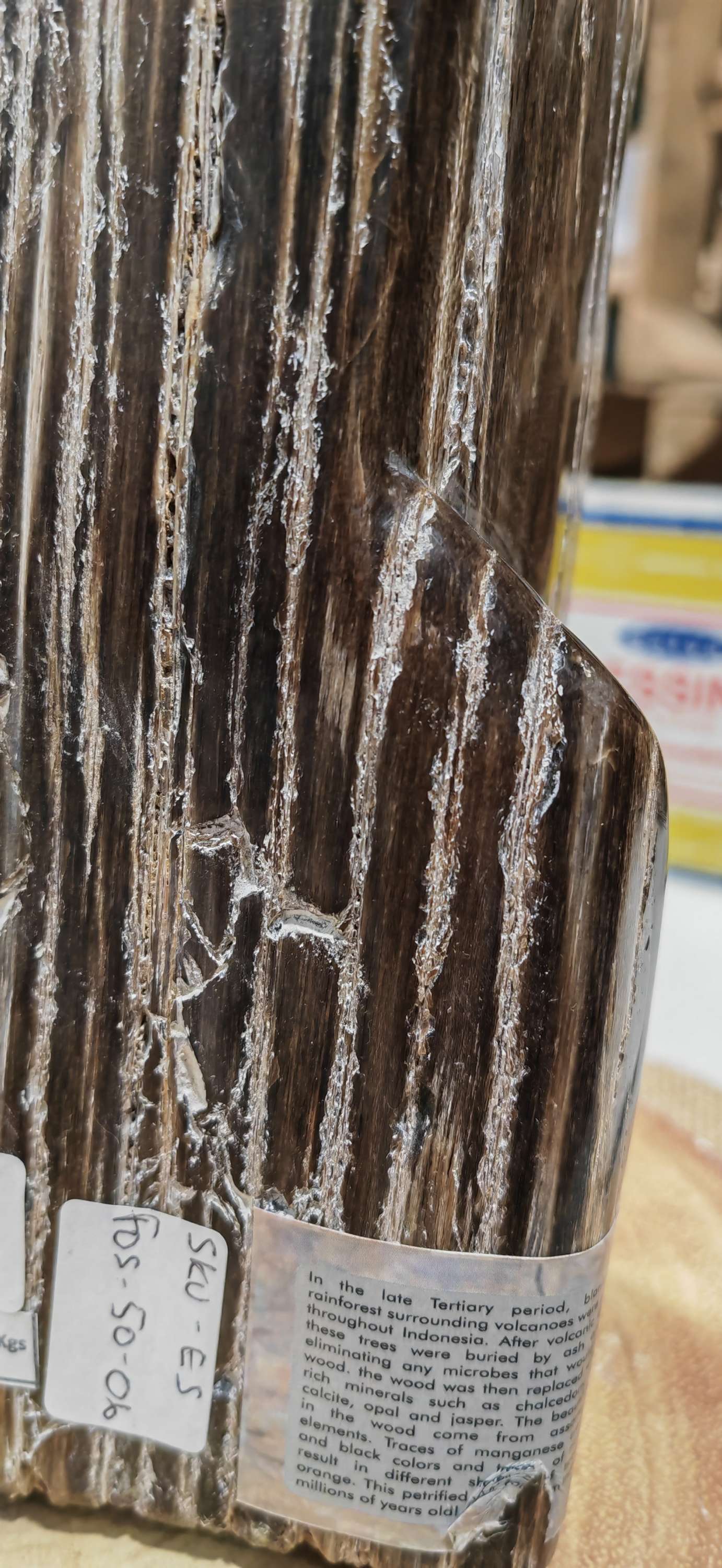 Earthstore® Petrified Wood, 4.2kg - TALL with natural symetrical markings