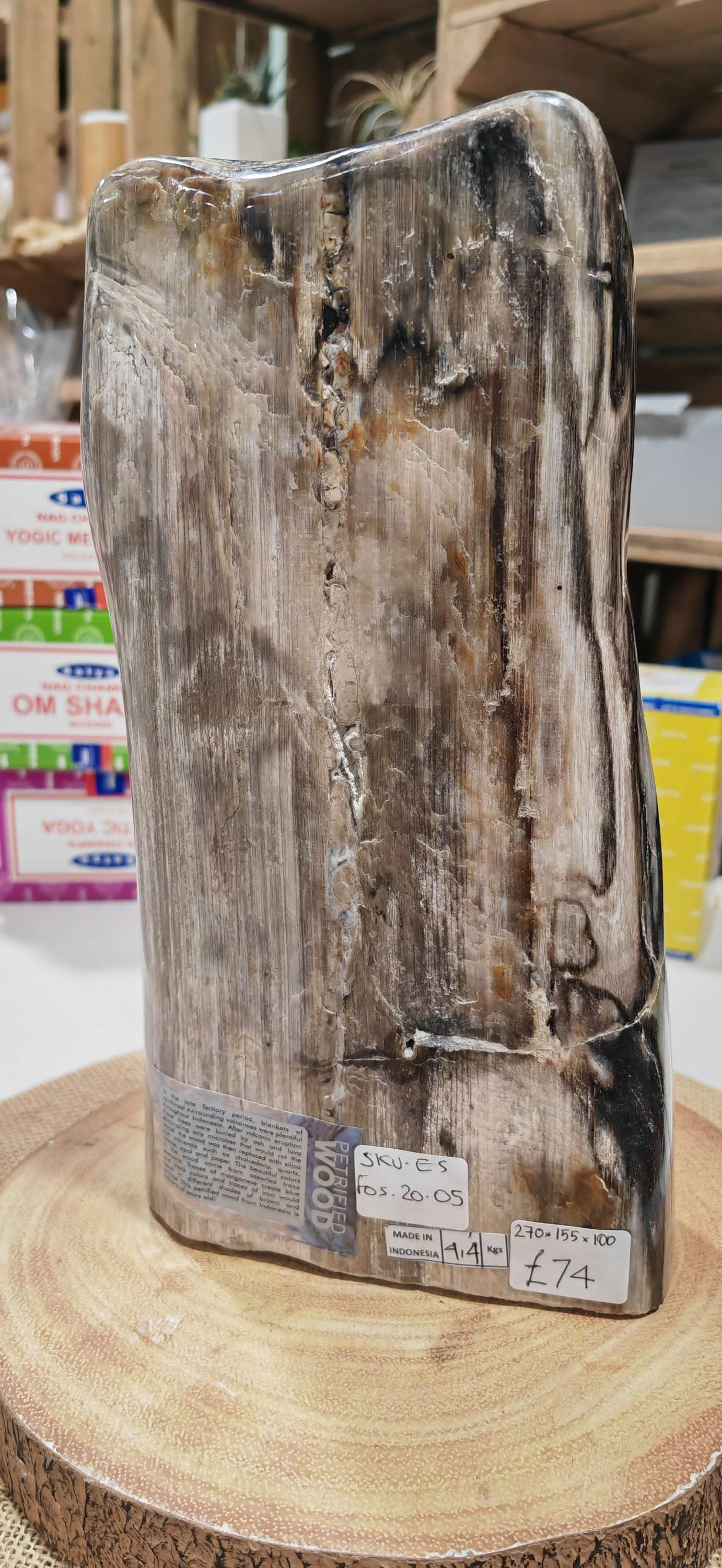 Earthstore® Petrified Wood, Indonesia 4.4kg UNIQUE
