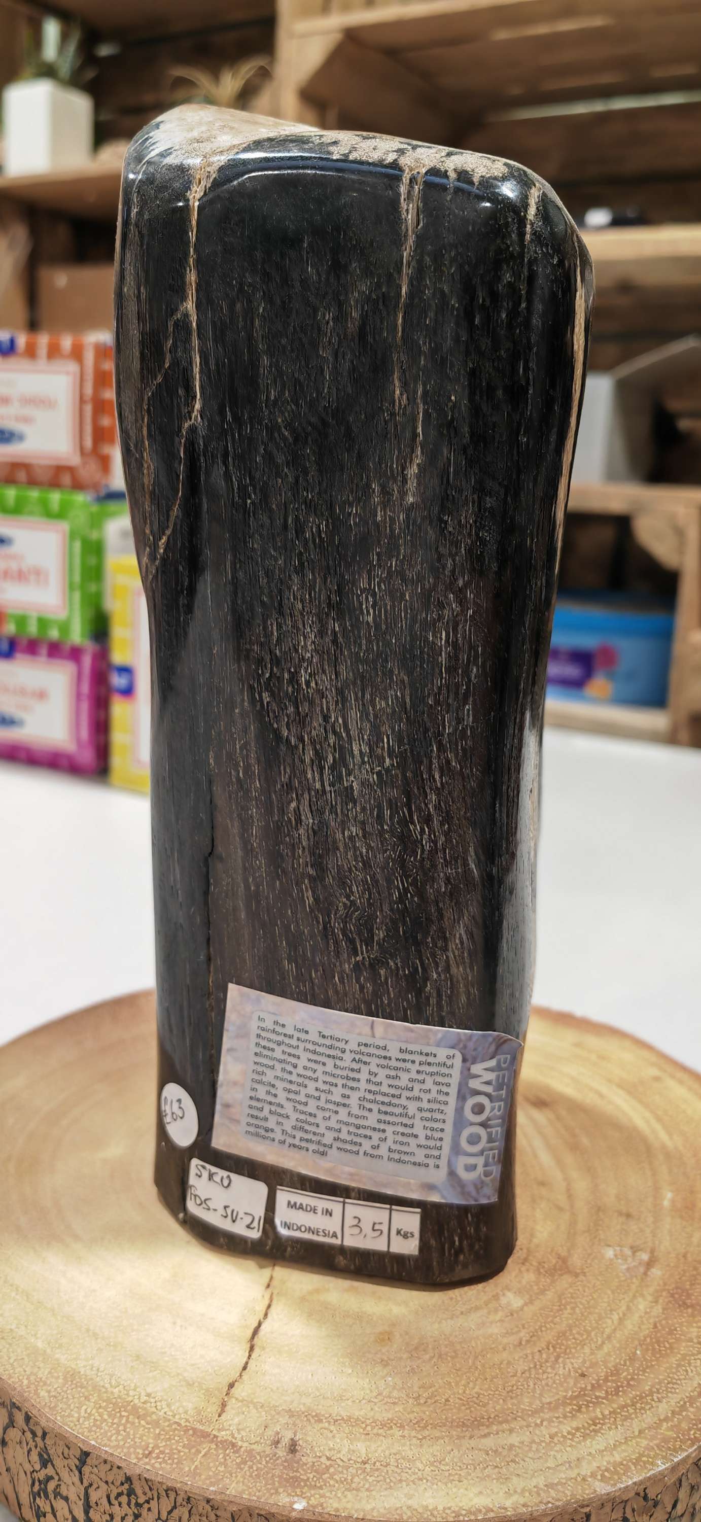Earthstore® Petrified Wood, Indonesia 3.5kg STUNNING