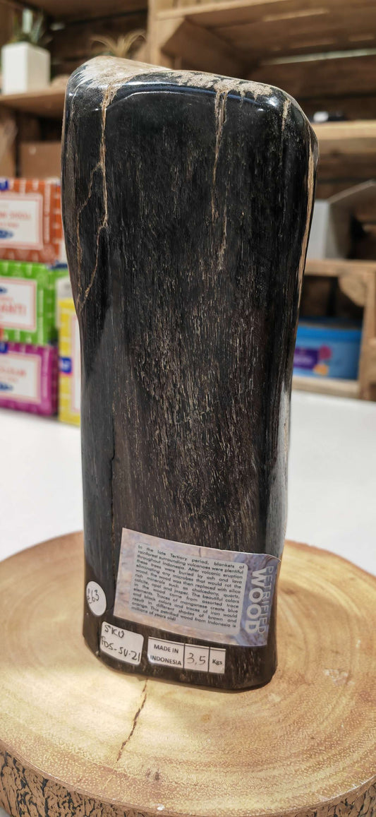 Earthstore® Petrified Wood, Indonesia 3.5kg STUNNING
