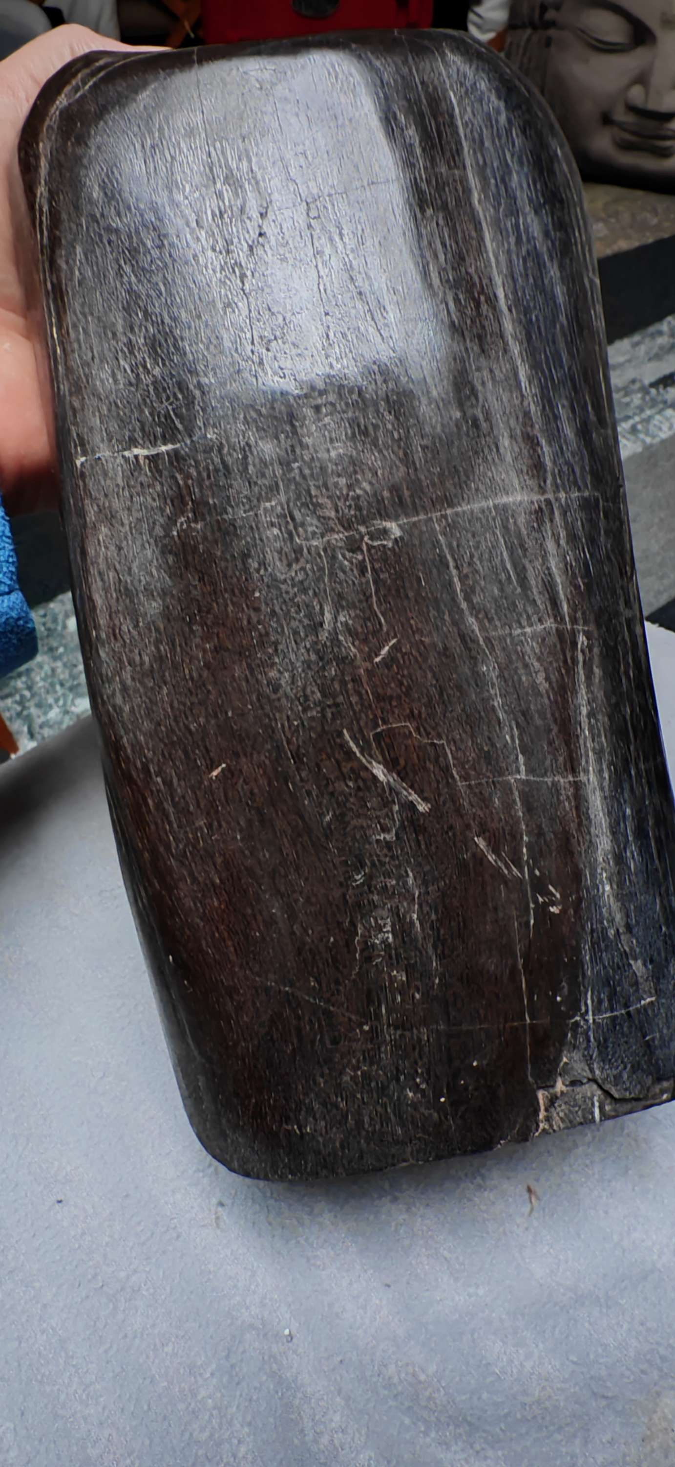 Earthstore® Petrified Wood, 5.7kg an absolute BEAST. Dark and Brooding.