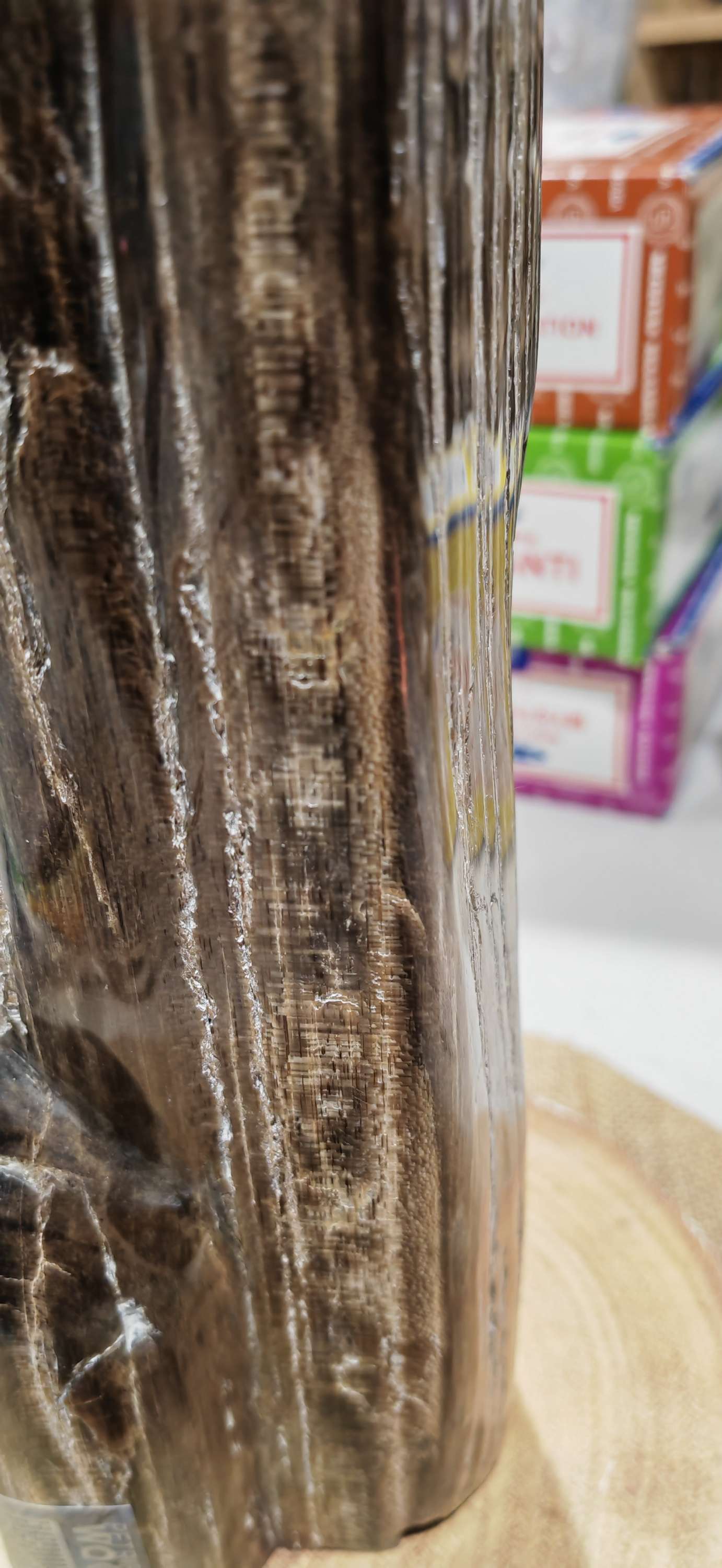 Earthstore® Petrified Wood, 4.2kg - TALL with natural symetrical markings