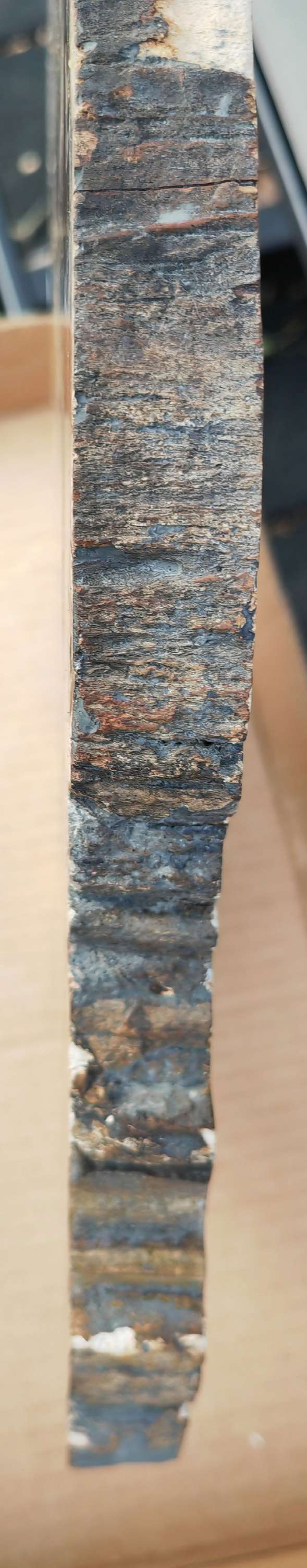 Earthstore® Petrified Wood - TREE TRUNK SLICE, 3.9kg - LOOKS FRESHLY CU
