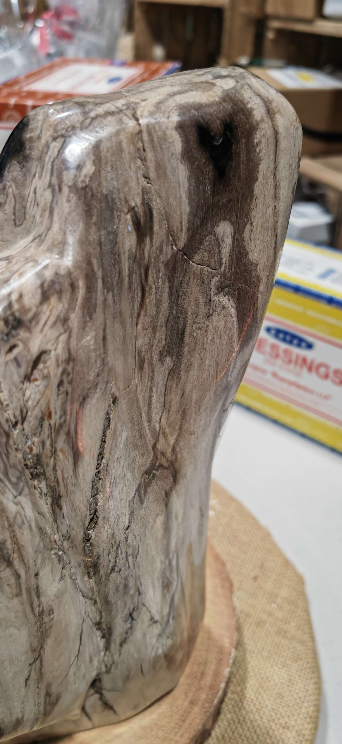 Earthstore® Petrified Wood, 5.9kg - 100% PERFECTION - UNUSUAL MARKINGS