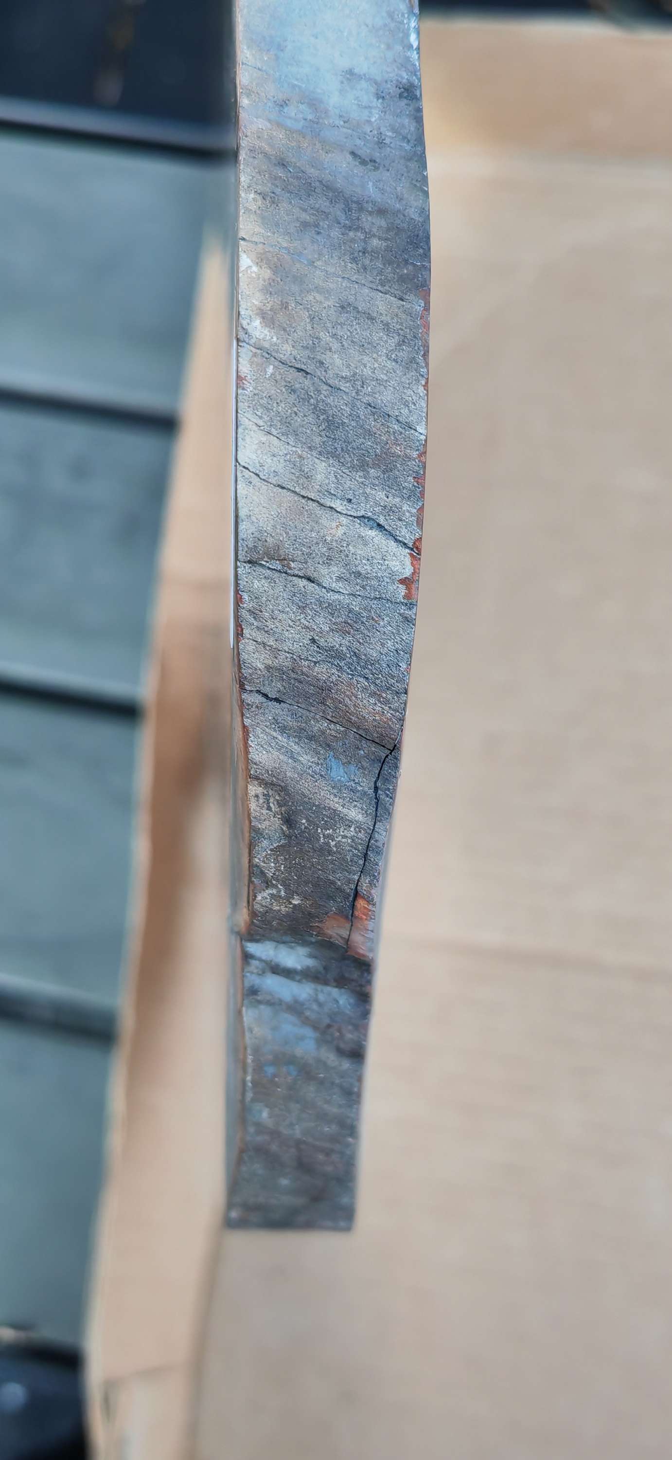 Earthstore® Petrified Wood - TREE TRUNK SLICE, 2.8kg - LOOKS FRESHLY CUT