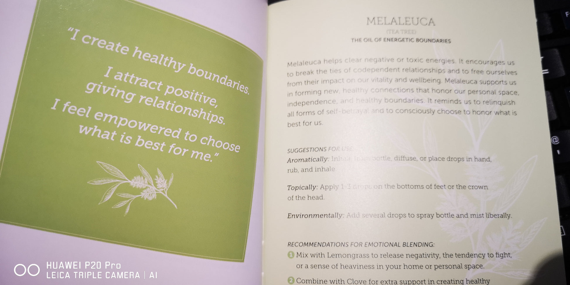 Earthstore® PRICE - Healing Home and Family Booklet