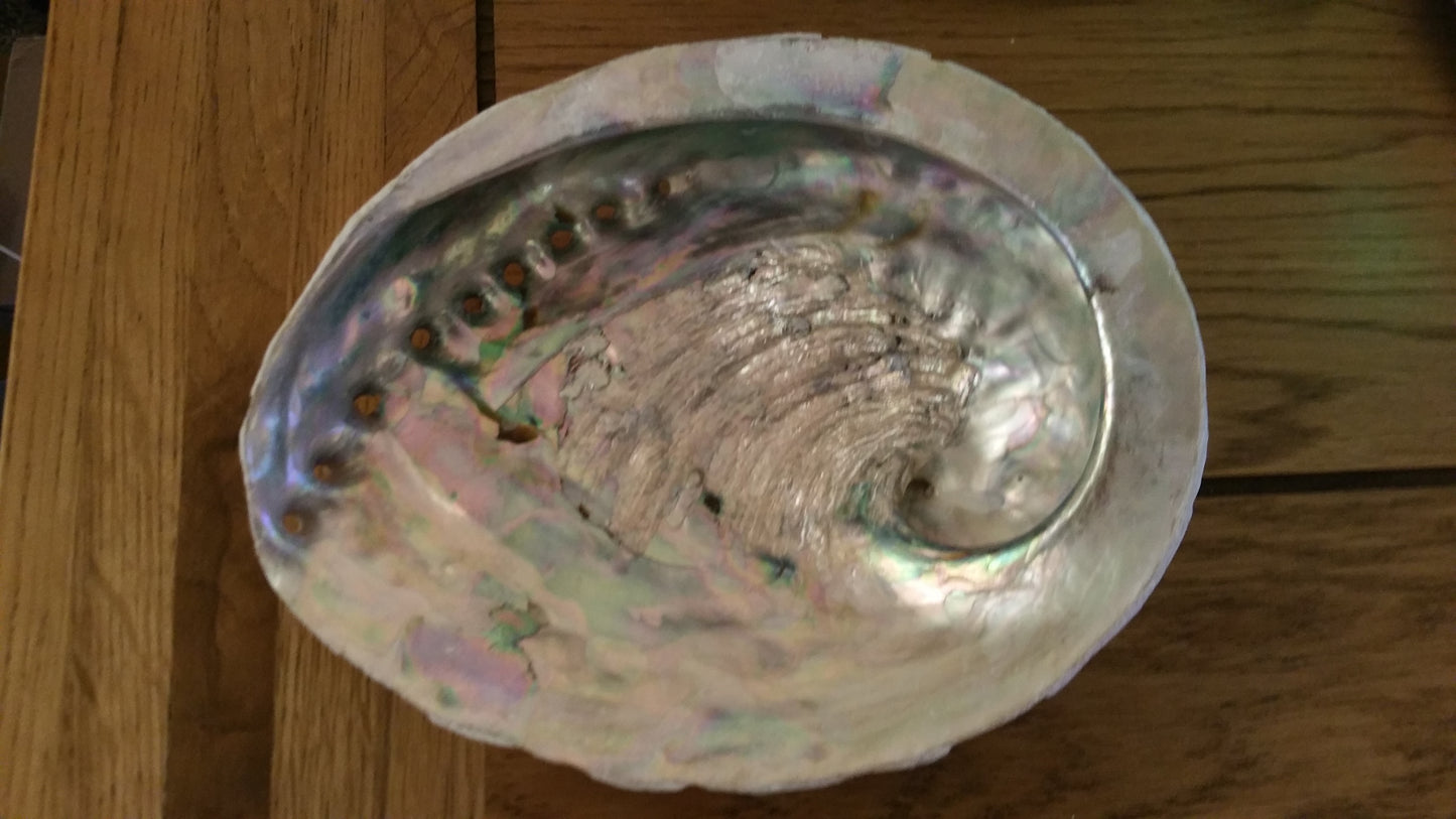 Earthstore® Smudge Kit incl Abalone, white sage, Palo Santo, selenite and incense sticks