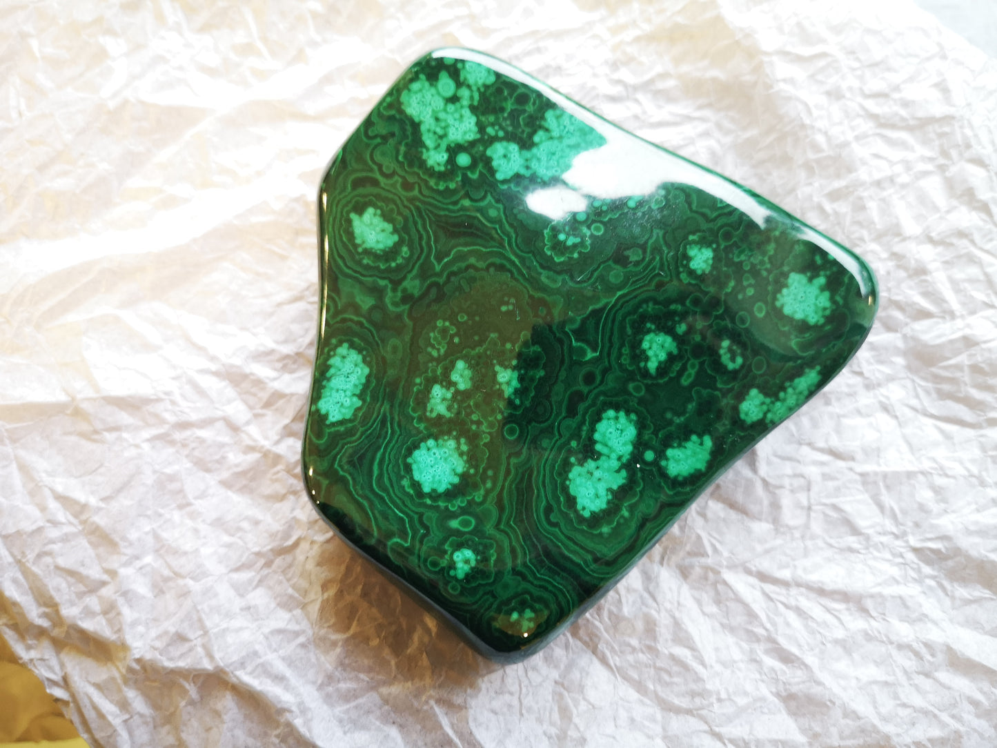 Earthstore® Malachite Freeform display (535g 105x98x58mm) Namibia