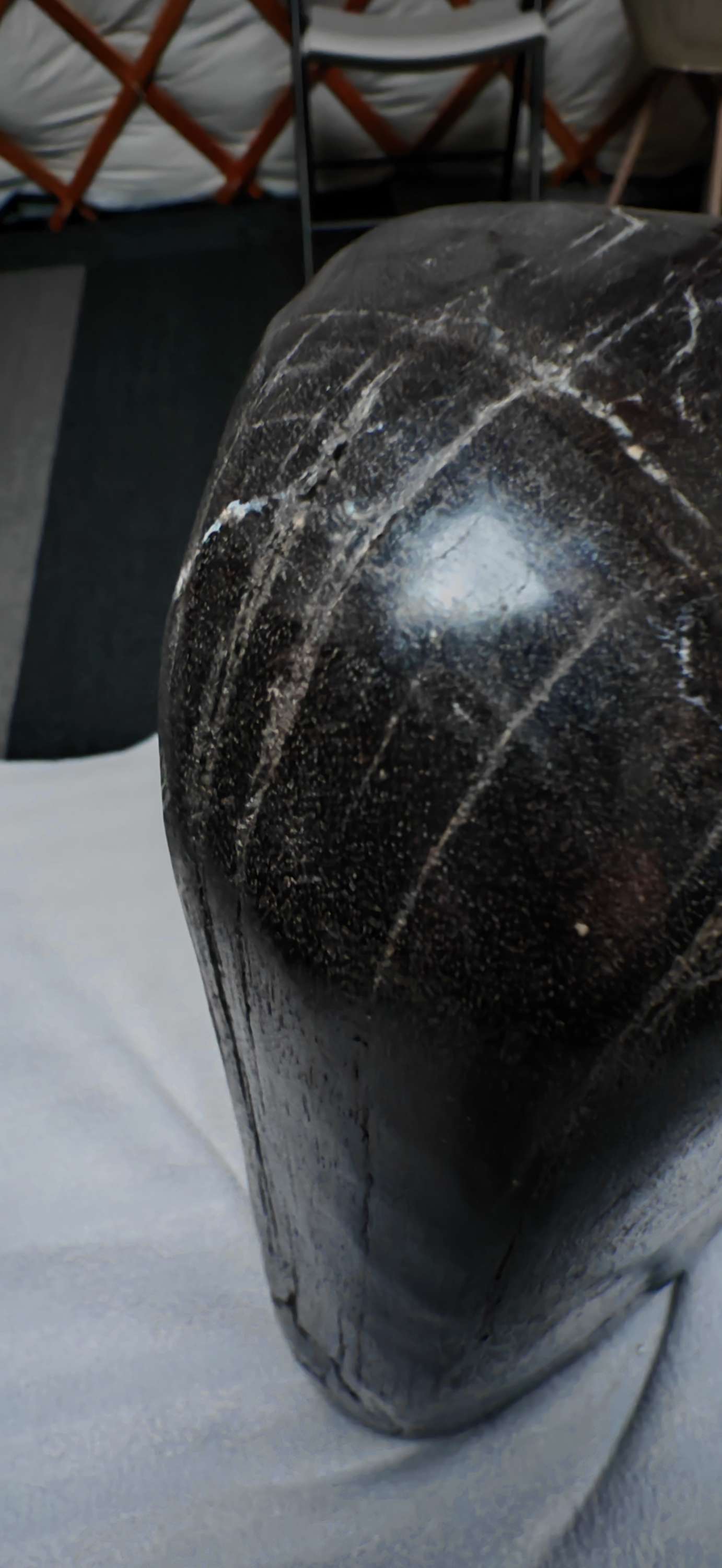 Earthstore® Petrified Wood, 5.7kg an absolute BEAST. Dark and Brooding.