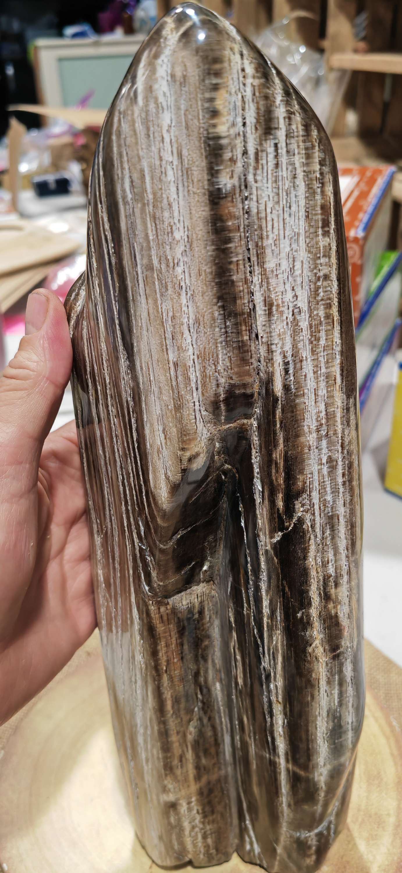 Earthstore® Petrified Wood, 4.2kg - TALL with natural symetrical markings