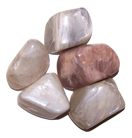 Earthstore® Moonstone - Tumblestone (Large)