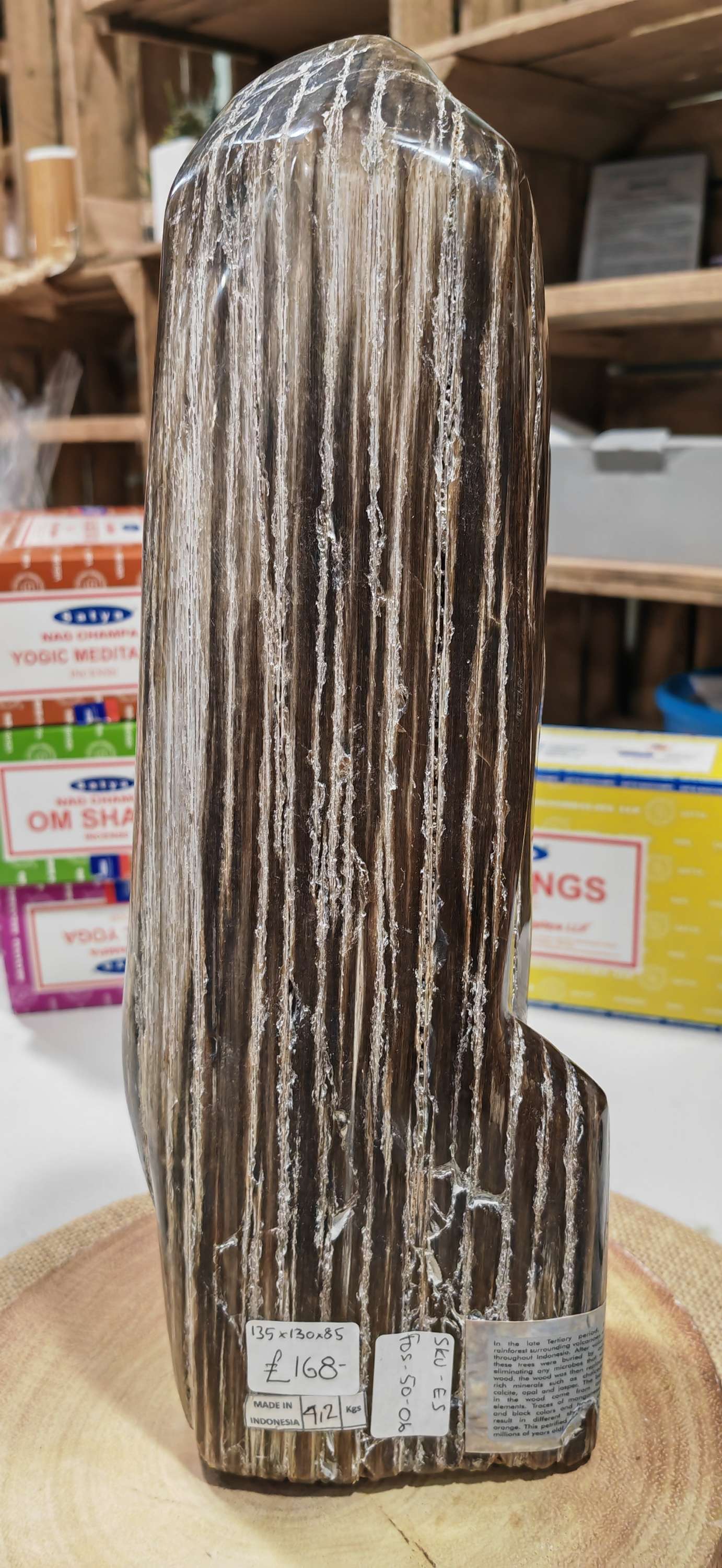 Earthstore® Petrified Wood, 4.2kg - TALL with natural symetrical markings