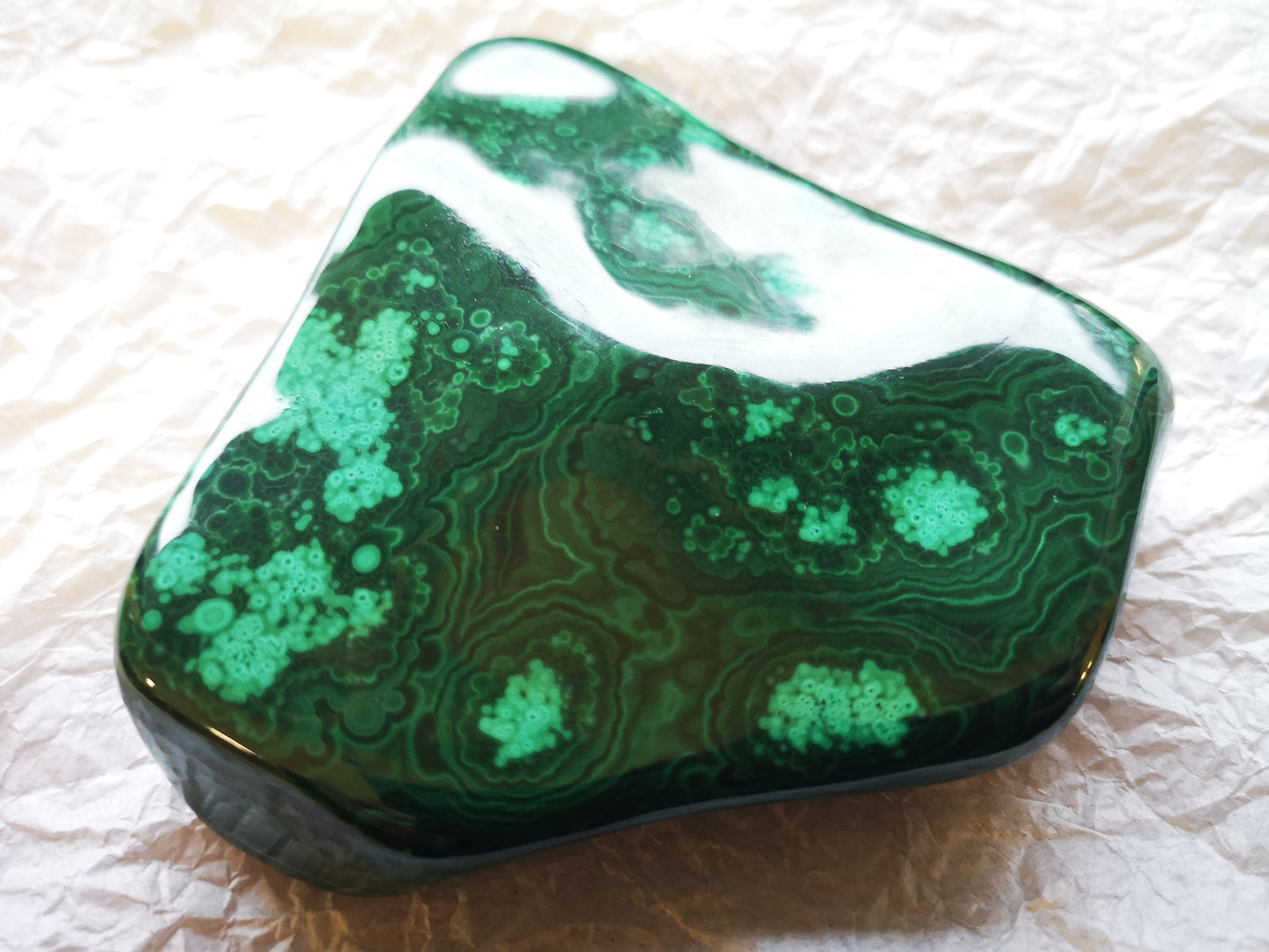 Earthstore® Malachite Freeform display (535g 105x98x58mm) Namibia
