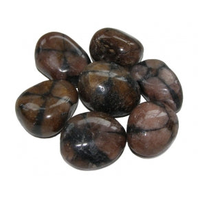 Earthstore® Chiastolite - Tumblestone (Cross Stone) - (Large) (ARIZONA)