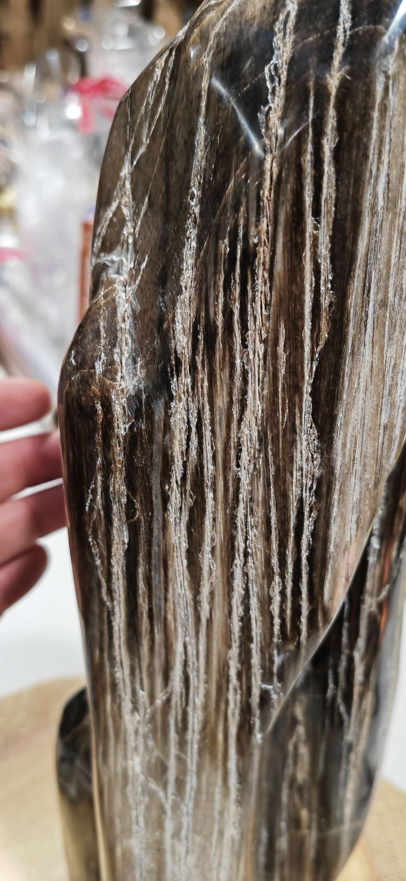 Earthstore® Petrified Wood, 4.2kg - TALL with natural symetrical markings