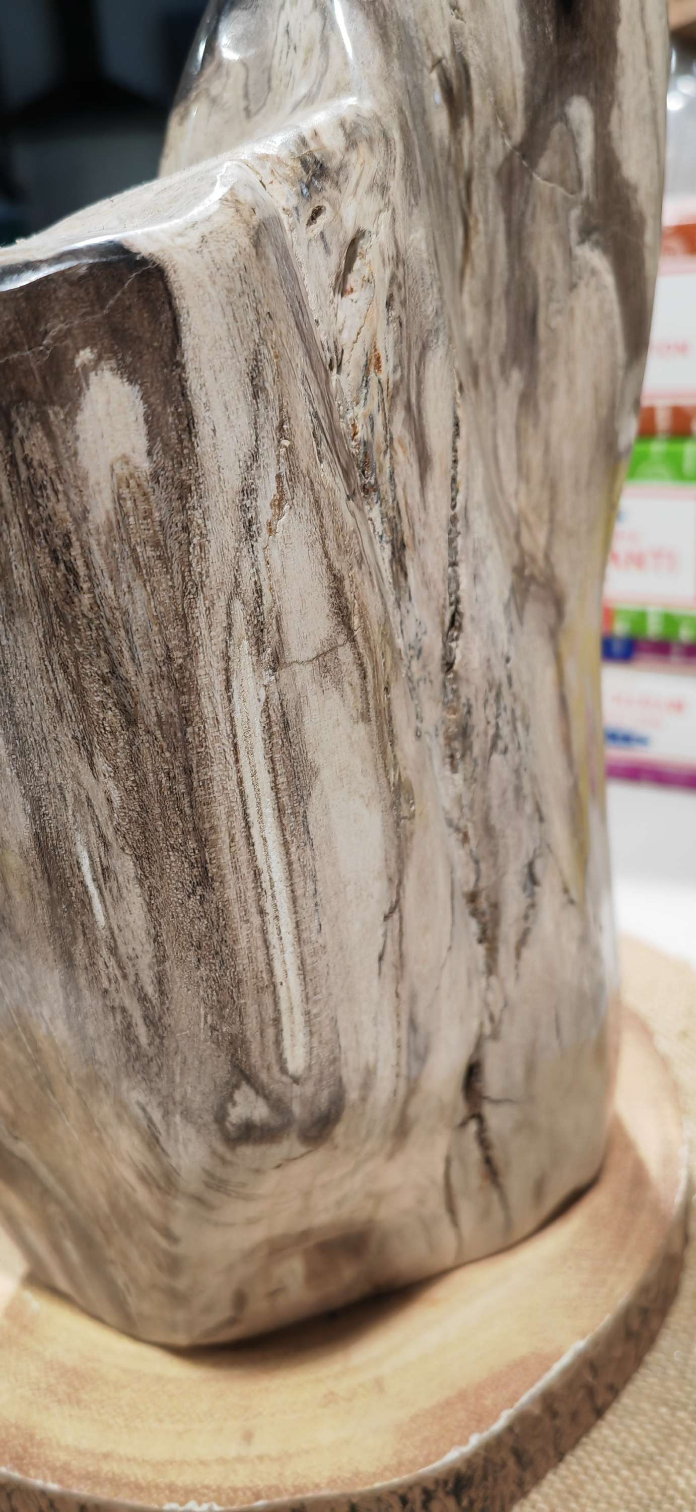 Earthstore® Petrified Wood, 5.9kg - 100% PERFECTION - UNUSUAL MARKINGS